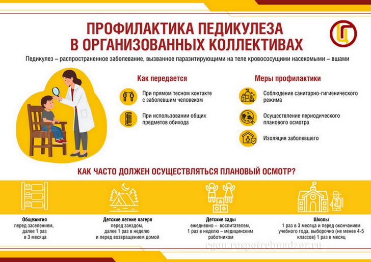 Профилактика педикулеза в организованных детских коллективах