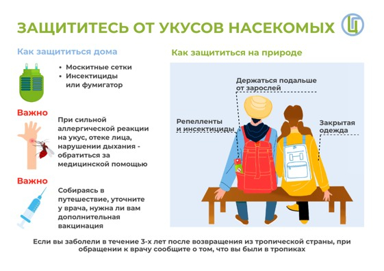 Насекомые как переносчики инфекционных заболеваний: профилактика и меры борьбы