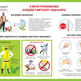 О мерах профилактики клещевого вирусного энцефалита