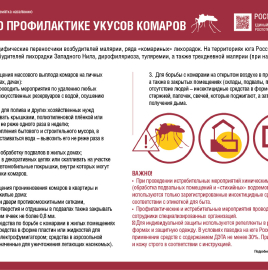 Памятка населению: о профилактике укусов комаров