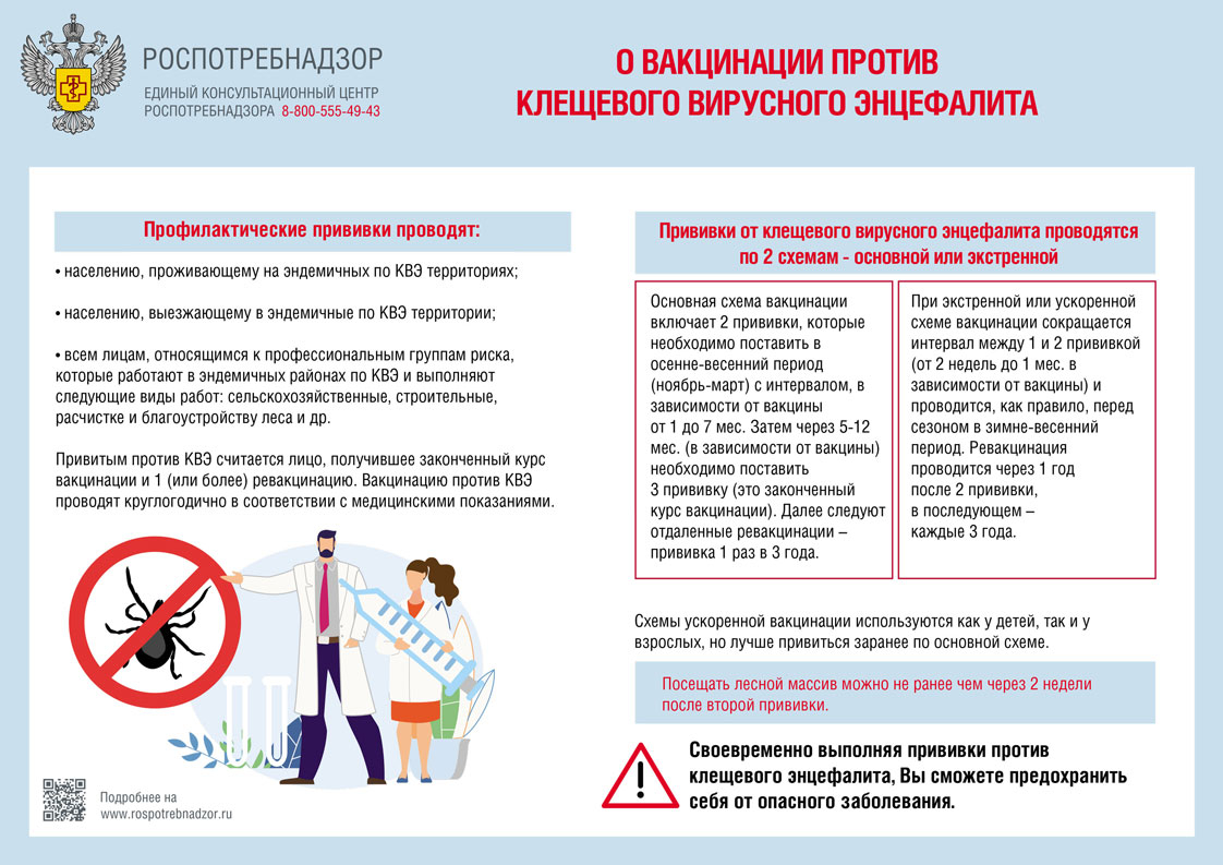 Памятка о вакцинации против клещевого вирусного энцефалита