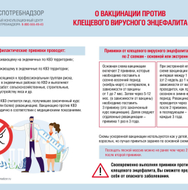 Памятка о вакцинации против клещевого вирусного энцефалита