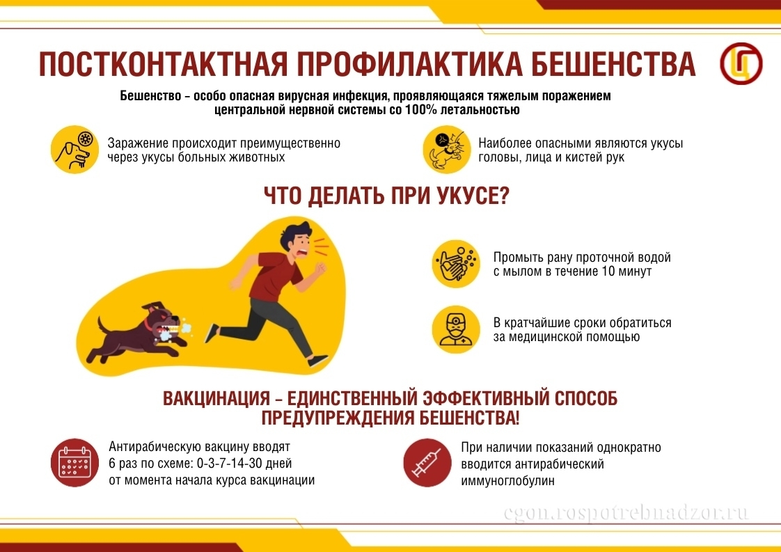 ВАЖНО: Бешенство — смертельно опасное заболевание