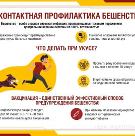 ВАЖНО: Бешенство — смертельно опасное заболевание