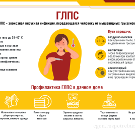 О профилактике геморрагической лихорадки с почечным синдромом
