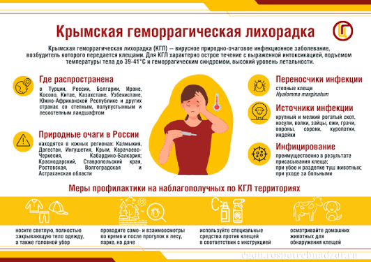 Профилактика Крымской геморрагической лихорадки (КГЛ)