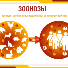 6 июля - Всемирный день зоонозных заболеваний.