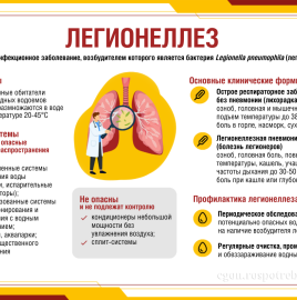 Н.Ю. Пшеничная: можно ли заразиться легионеллезом при использовании кондиционера?