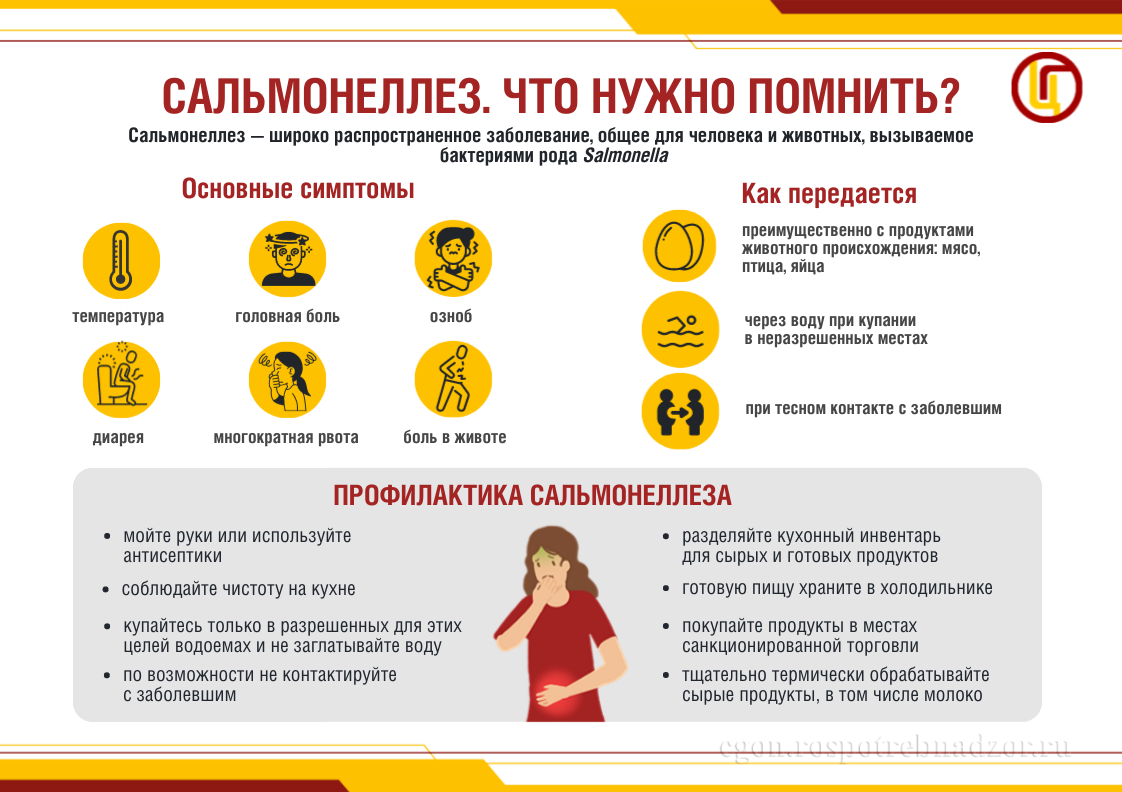 Профилактика сальмонеллеза