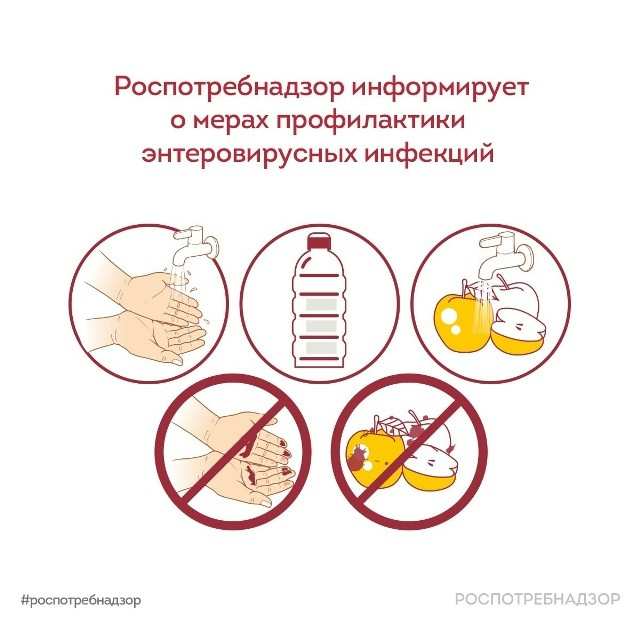 Роспотребнадзор информирует о мерах профилактики энтеровирусных инфекций