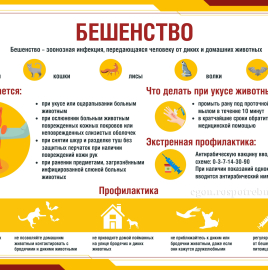 В.Н. Касян: стоит ли беременным вакцинироваться от бешенства.