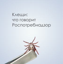 Второй пик активности клещей: о чем нужно помнить?