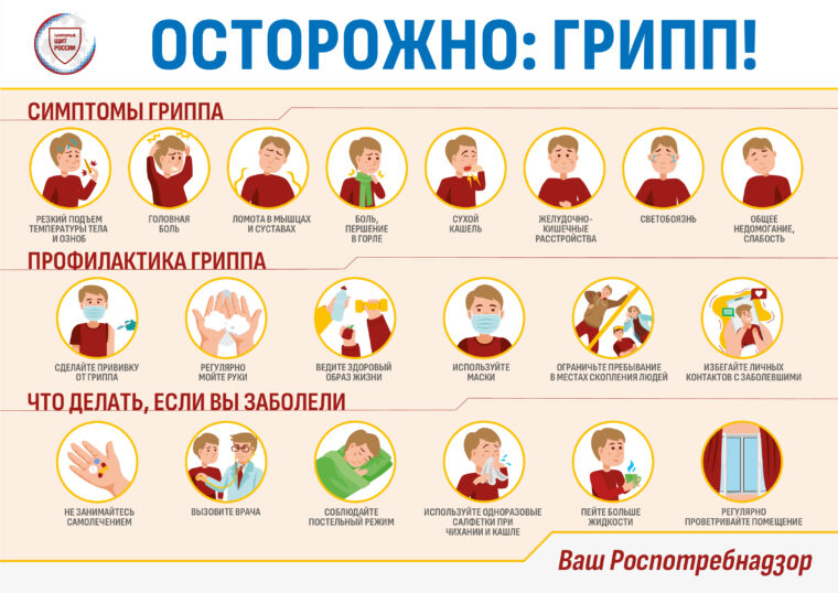 Подготовка к сезону гриппа: почему важно вакцинироваться заранее и как работает иммунитет