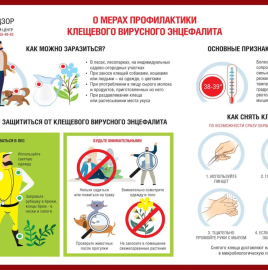 Клещи - все еще опасны