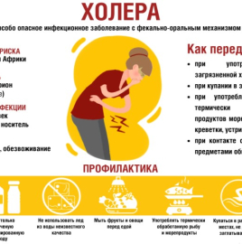 Холера: история болезни.
