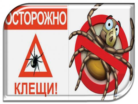 О начале сезона активности клещей