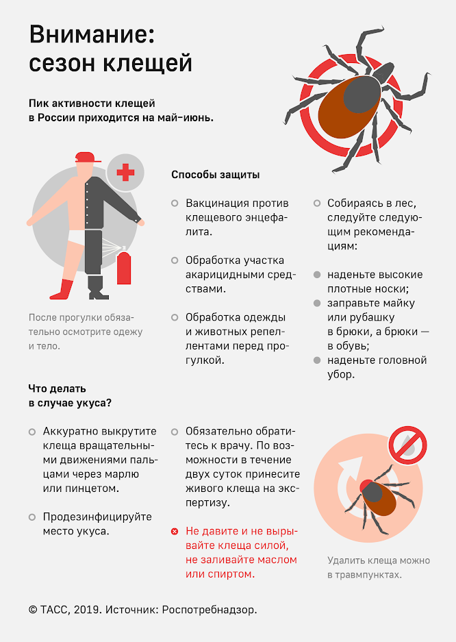 РЕКОМЕНДАЦИИ ГРАЖДАНАМ: КЛЕЩЕВОЙ ВИРУСНЫЙ ЭНЦЕФАЛИТ и меры его профилактики