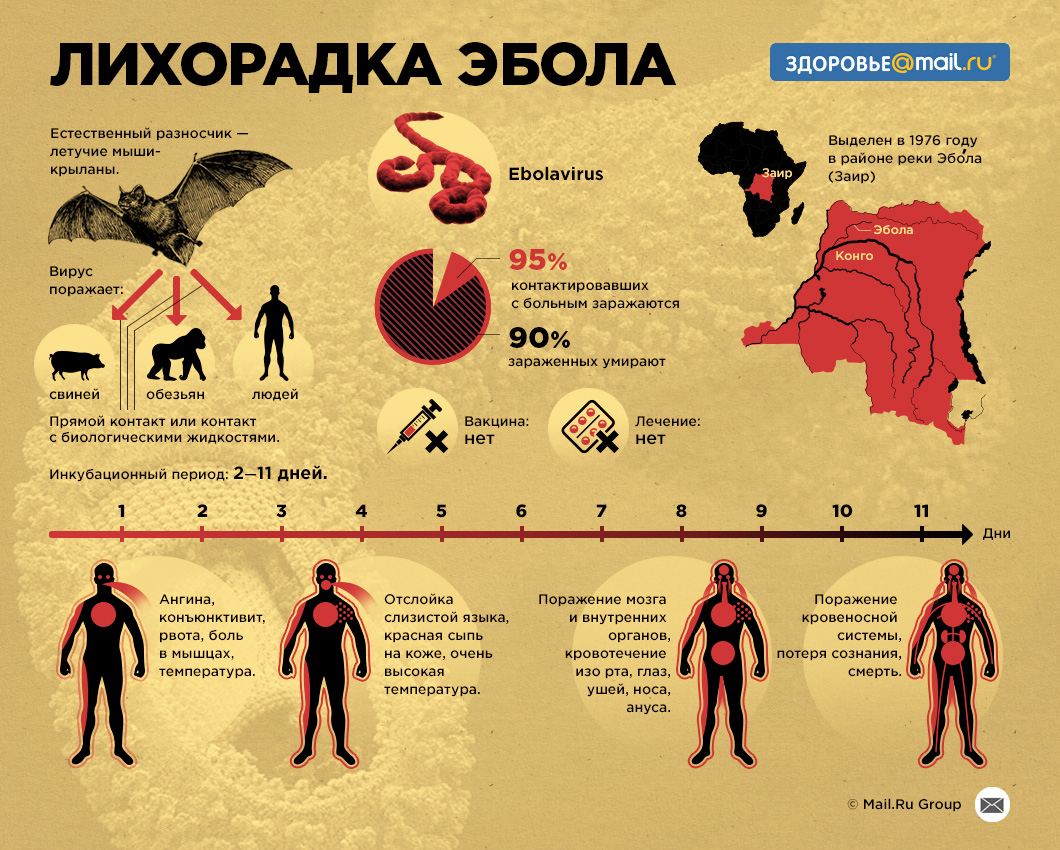О ситуации по лихорадке Эбола в Демократической республике Конго.