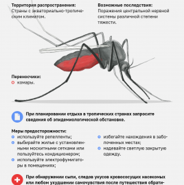 Памятка по профилактике заболеваний, передающихся при укусе комаров, при совершении туристических поездок