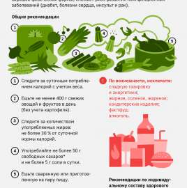 РЕКОМЕНДАЦИИ ГРАЖДАНАМ здоровое питание.doc, Принципы правильного питания.