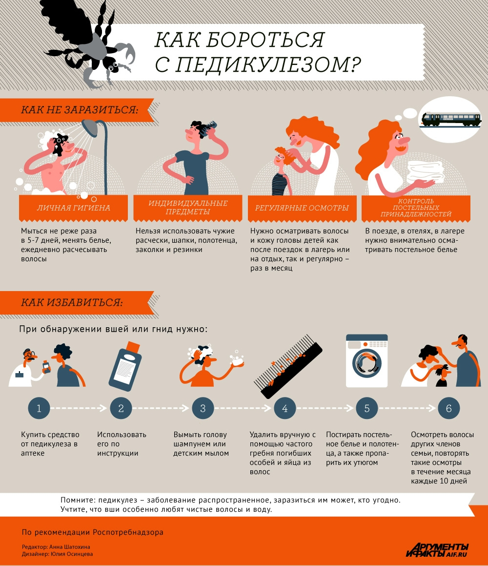 ВНИМАНИЕ ПОТРЕБИТЕЛЯ: Правила профилактики и лечения педикулеза.