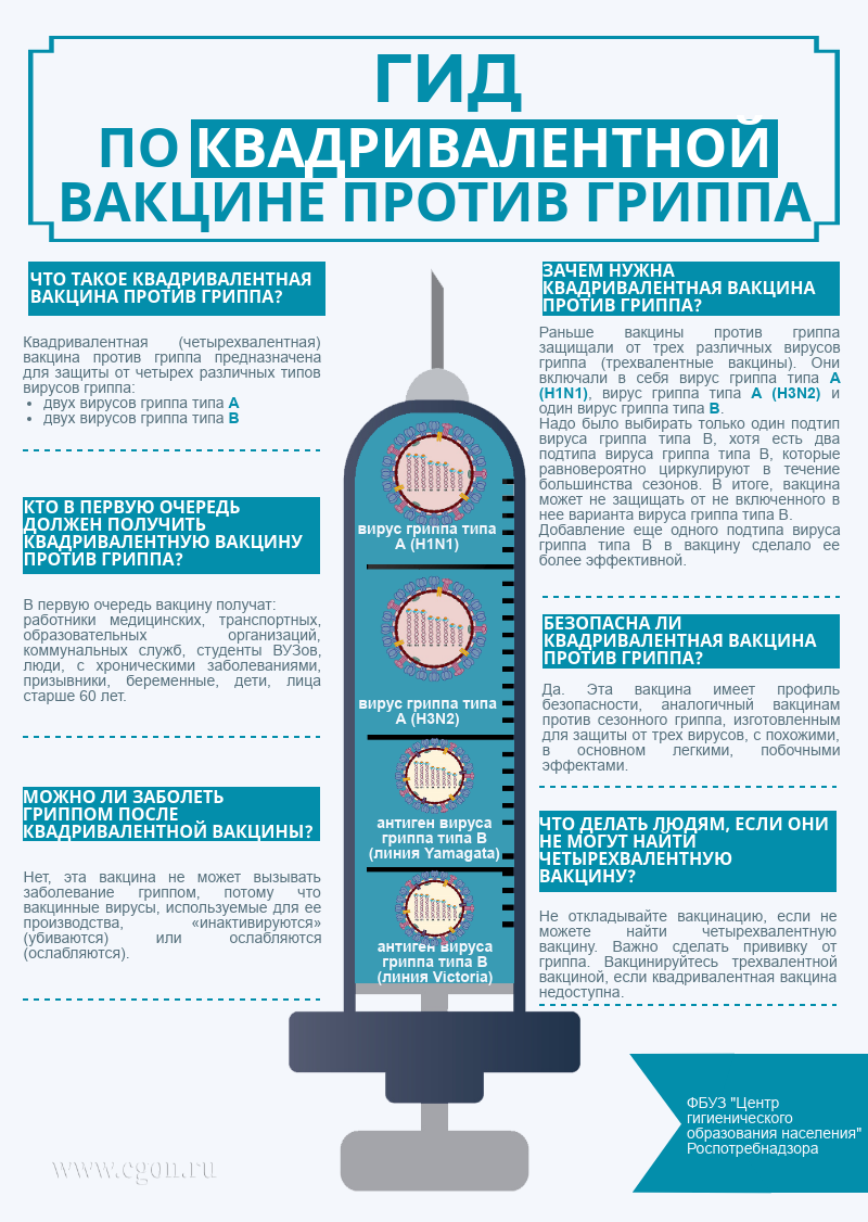 ВНИМАНИЮ ПОТРЕБИТЕЛЯ: Что такое четырехвалентная вакцина от гриппа?