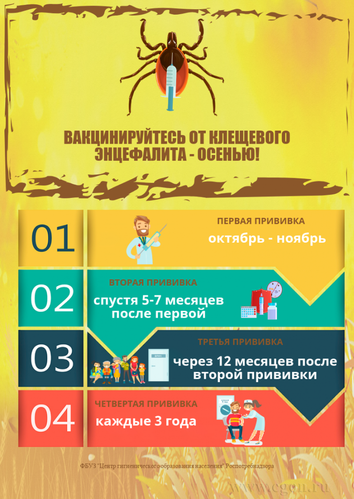 ВНИМАНИЮ ПОТРЕБИТЕЛЯ: Осень - время для вакцинации от клещевого энцефалита