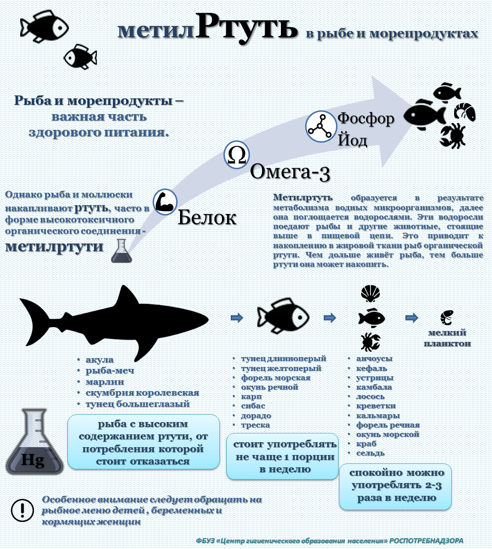ВНИМАНИЮ ПОТРЕБИТЕЛЯ: Ртуть в рыбе и морепродуктах