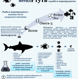 ВНИМАНИЮ ПОТРЕБИТЕЛЯ: Ртуть в рыбе и морепродуктах