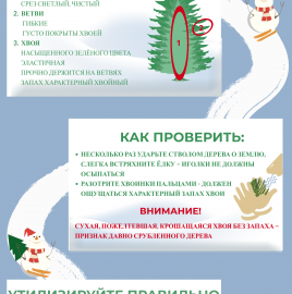 ВНИМАНИЮ ПОТРЕБИТЕЛЯ: Как правильно выбрать новогоднюю елку