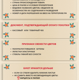 Рекомендации по выбору цветов к 8 Марта