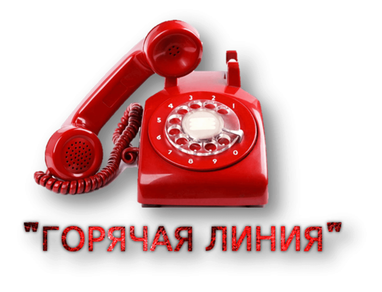 Роспотребнадзор по Чеченской Республике запускает анонс "горячей линии" по профилактике вирусного клещевого энцефалита