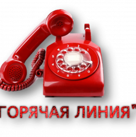 Роспотребнадзор по Чеченской Республике запускает анонс "горячей линии" по профилактике вирусного клещевого энцефалита