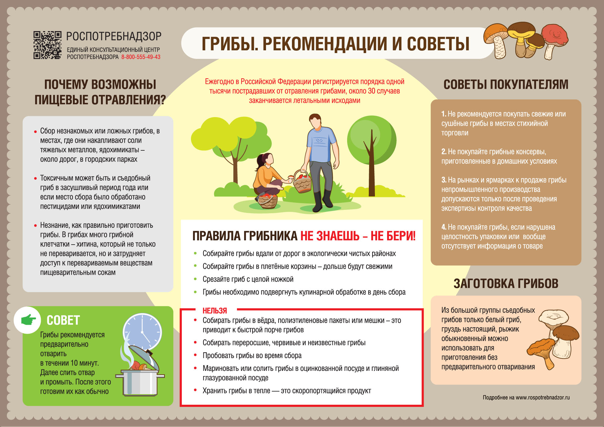 О рекомендациях как выбирать и готовить грибы