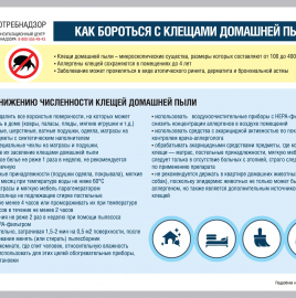 О рекомендациях как бороться с клещами домашней пыли