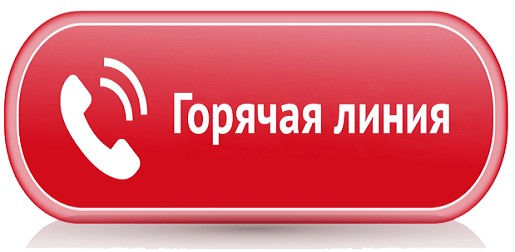 О проведении «горячей линии» по вопросам качества и безопасности плодоовощной продукции и срокам годности.